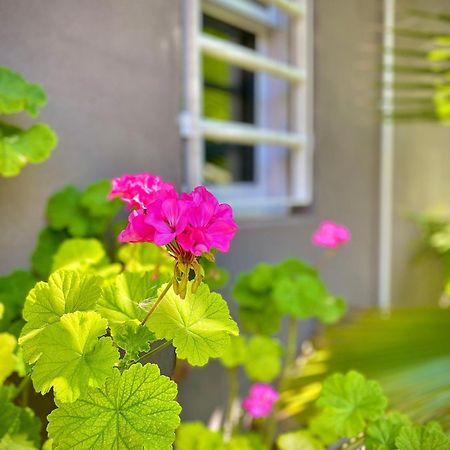 Brisas De Villa Gesell Eksteriør bilde
